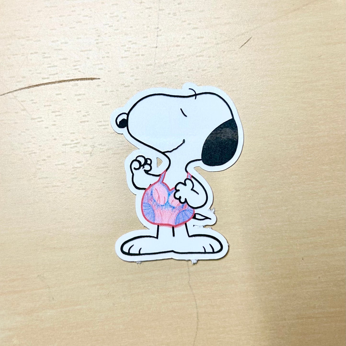 Snoopy Eras Stickers