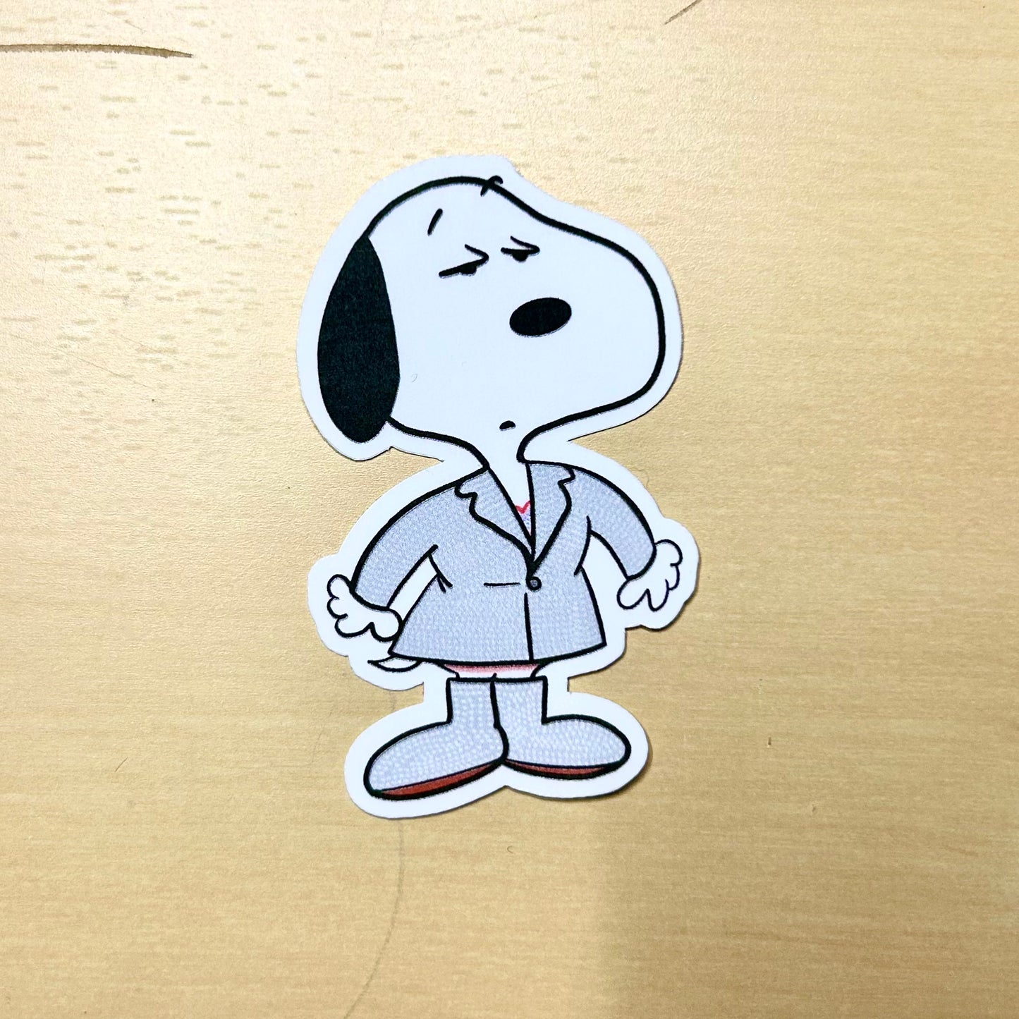 Snoopy Eras Stickers